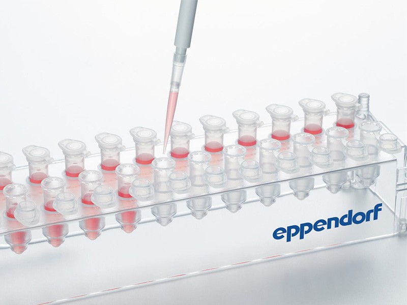 Eppendorf ep Dualfilter T.I.P.S.® SealMax® Filtreli Pipet Uçları 6